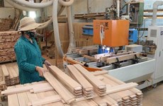 Vietnam’s wood exports expected to hit new record