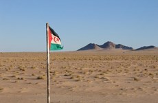 Vietnam calls on parties in Western Sahara to return to negotiations 