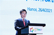 Gov’t affirms FDI's important role in Vietnamese economy