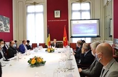 Belgium, Vietnam see growing multifaceted cooperation: Belgian politician 