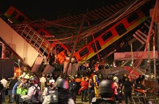 Vietnam sends condolences to Mexico over subway overpass collapse