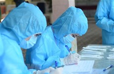 Da Nang prepares plans for increasing COVID-19 infections 