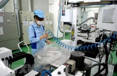 Vietnamese firms’ overseas investment surges in first four months