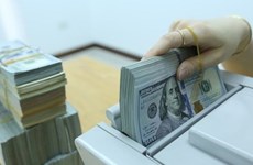 Daily reference exchange rate down at week’s beginning