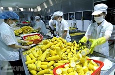Vietnam needs to invest in processing, packaging of agricultural products: experts