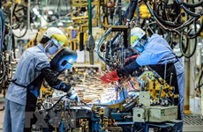 German firms optimistic about Vietnam’s economy