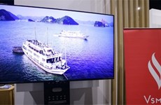 Television brands find Vietnamese market tough going