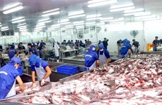Seafood exports to go up by 10 percent in Q2