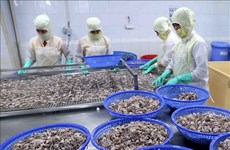 Kien Giang’s exports up nearly 16 percent