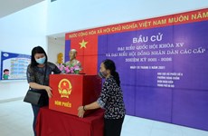 Chinese Ambassador hails Vietnam’s election preparations