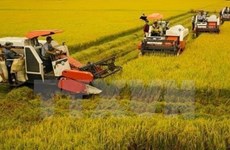 63.4 percent of Vietnamese communes meet new-style rural criteria