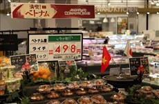 Vietnamese farm produce introduced to Japan