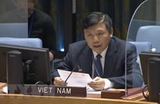 Vietnam chairs meeting of UNSC Informal Working Group on International Tribunals