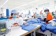 Hanoi targets raising ratio of trained workers to 80 percent by 2030