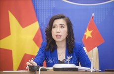 Vietnam requests Taiwan to stop illegal drills on Truong Sa’s Ba Binh island