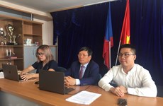 Vietnam Young Initiatives forum held virtually  