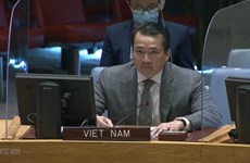 Vietnam calls for enhanced cooperation to address instability in Central African Republic, Syria