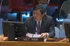 Vietnam calls on int’t community to maintain humanitarian assistance for Syria