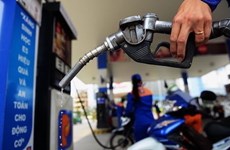  Careful consideration must be given to extending foreign ownership at petrol firms