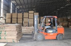 Vietnam's wood industry moving towards transparent trade