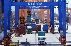 Vietnamese, German firms sign contract for supply of container cranes