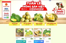 Vietnamese top list of most online shoppers in SEA
