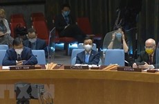 UNSC: Vietnam supports comprehensive political solution in Libya