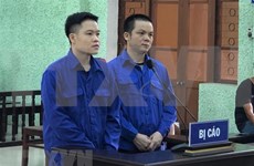 Two men in Cao Bang jailed for brokering illegal exit 
