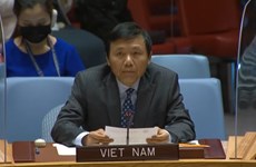 Vietnam calls for protection of humanitarian workers in armed conflicts