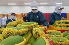 Fruit, vegetables exports to hit 4 billion USD
