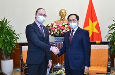 Vietnam treasures comprehensive strategic partnership with Russia: FM
