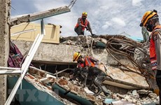 5.9 magnitude quake hits west Indonesia