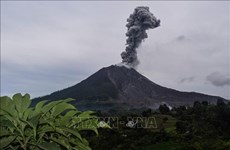 Indonesia's Sinabung volcano erupts again
