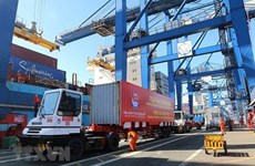 HCM City's port stops receiving imports as containers pile up