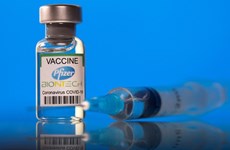 Nearly 50 million doses of Pfizer vaccine to arrive in Vietnam by year-end