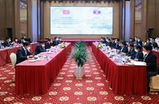 Deputy PM stresses Vietnam-Laos cooperation areas  