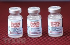 Expats offer to present 50,000 COVID-19 vaccine vials to HCM City