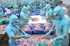 Report on impact of IUU yellow card on Vietnam’s seafood industry released