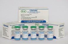 Homegrown candidate vaccine Covivac begins second stage of clinical trials