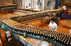 Beer companies report mixed performance in Q2
