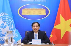 Vietnam values relations with ESCAP: Foreign Minister