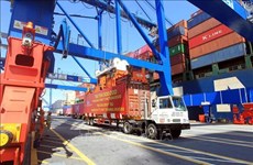 Container cargo via seaports sees double-digit growth