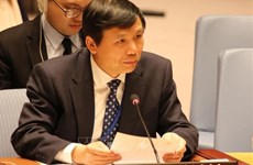 Vietnamese Ambassador to UN affirms importance of technology in peacekeeping