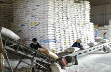 Over 130,000 tonnes of rice allocated to 24 pandemic-hit localities