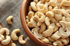 More Japanese consumers prefer Vietnamese cashew nuts
