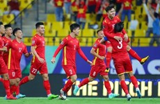 Vietnam strive for good result in World Cup match against Australia: Coach