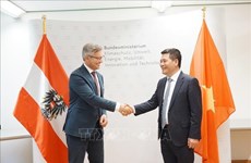 Vietnam, Austria eye cooperation in renewable energy development