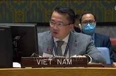 Vietnam urges advancing transitional process in Sudan