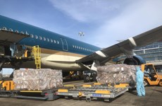 Temasek Foundation-donated medical equipment arrive in Vietnam  