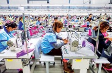 Cambodia’s garment exports surpass 5 billion USD in 8 months